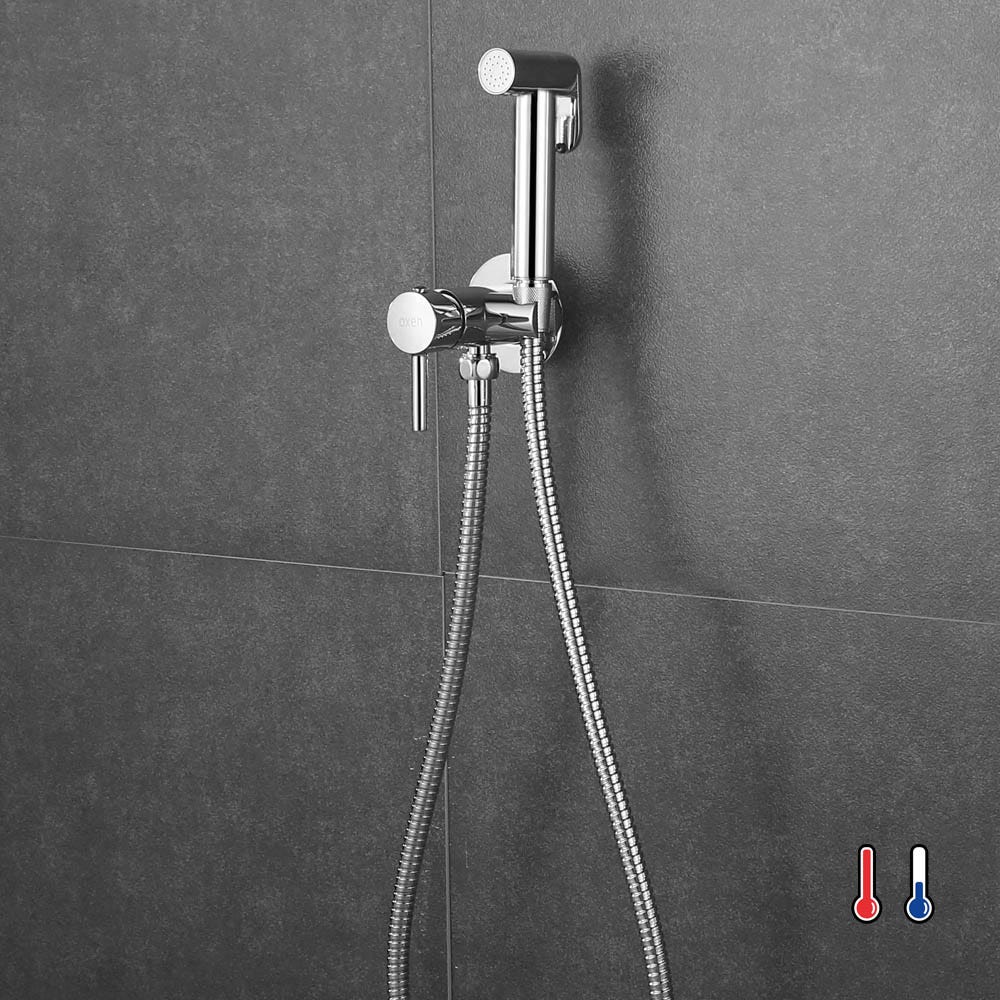 grifo inodoro bidet ducha higiénica leroy merlin - Buscar con Google   Дизайн небольшой ванной, Биде, Переделка ванной комнаты