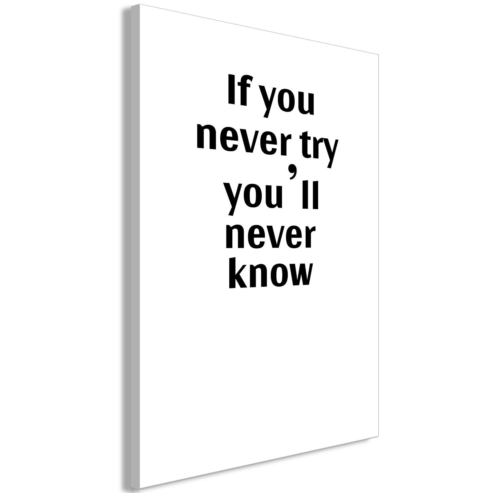 Tableau If You Never Try You'll Never Know (1 Part) - 60 x 90 cm ...