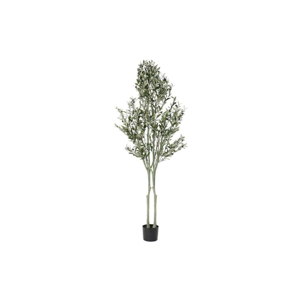arbre-dkd-home-decor-polyester-polypropyl-ne-olivier-80-x-80-x-180-cm
