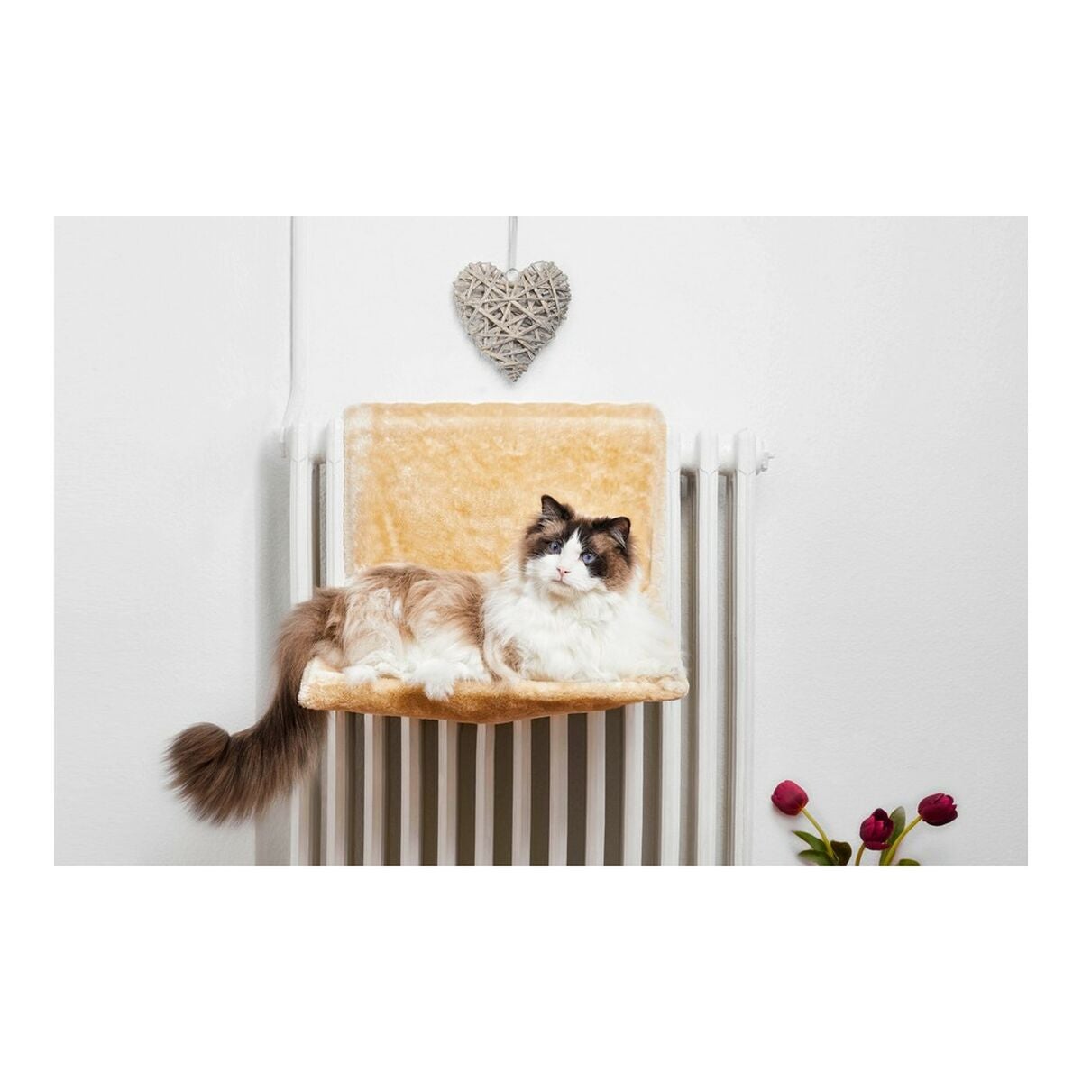 Lettiera per Gatti Georplast Sonic (56 x 40 x 24 cm)