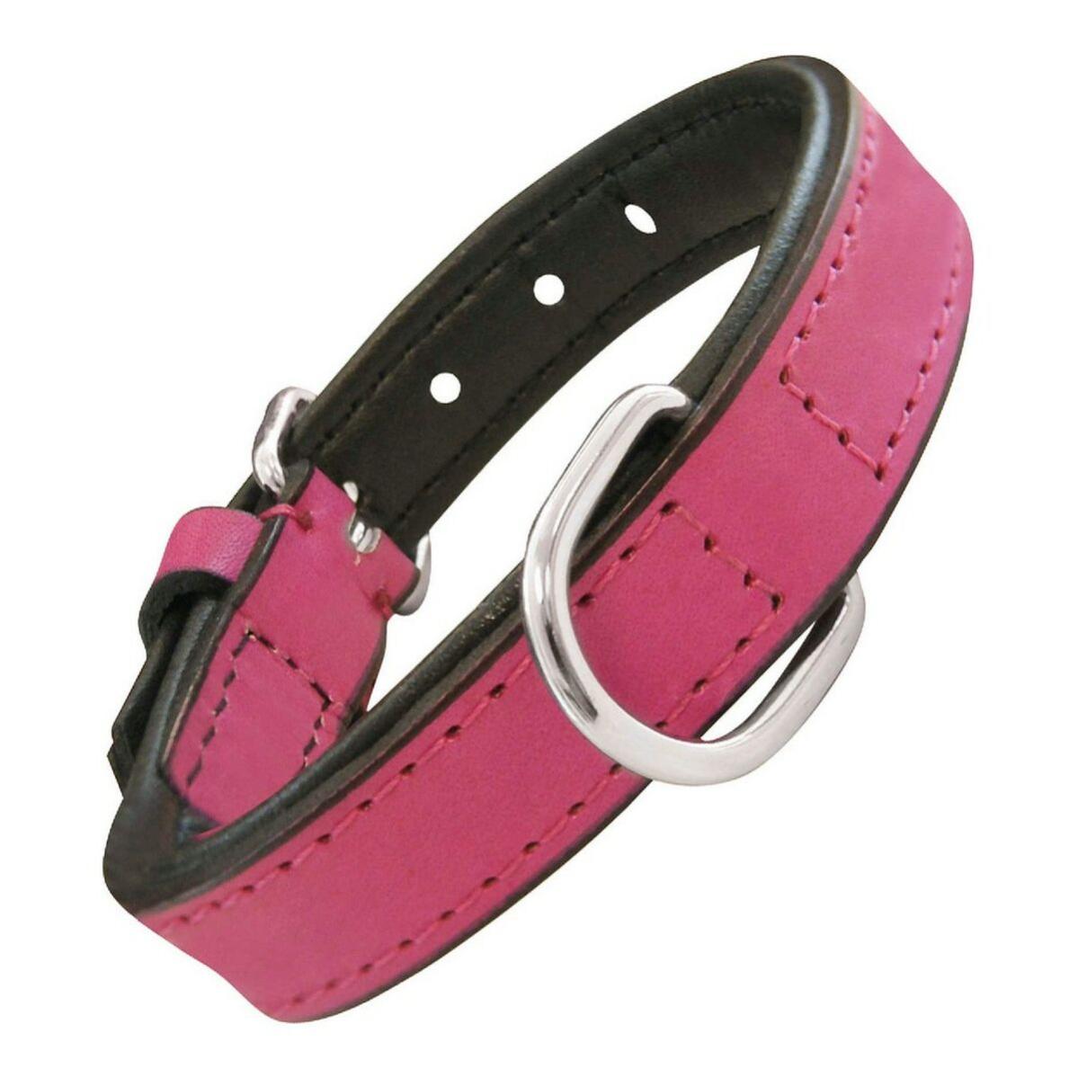 Collier pour Chien Gloria Oasis Rouge (35 x 1,2 cm)