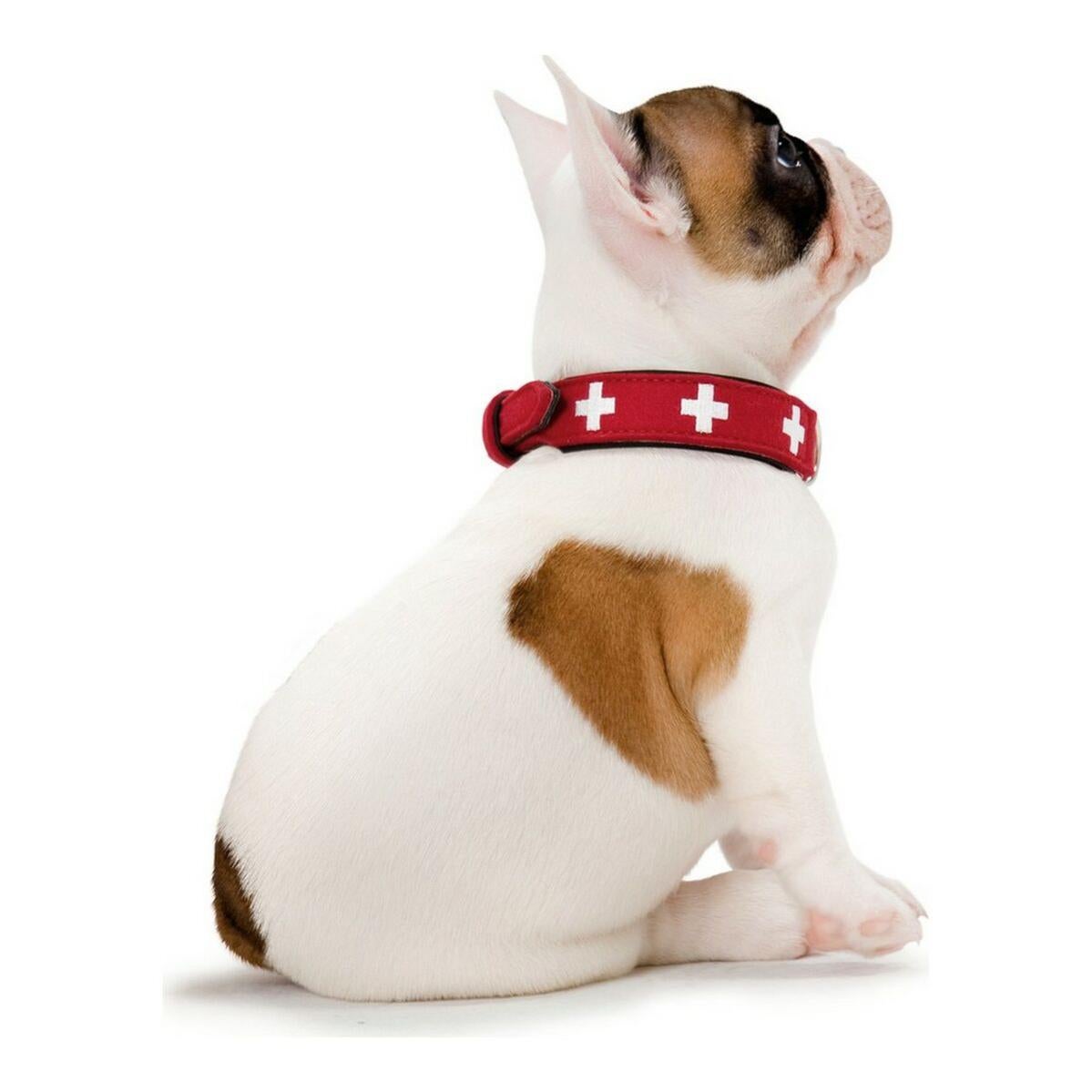 Collar para Perro Hunter Swiss Rojo/Negro (35-43 cm) - 5