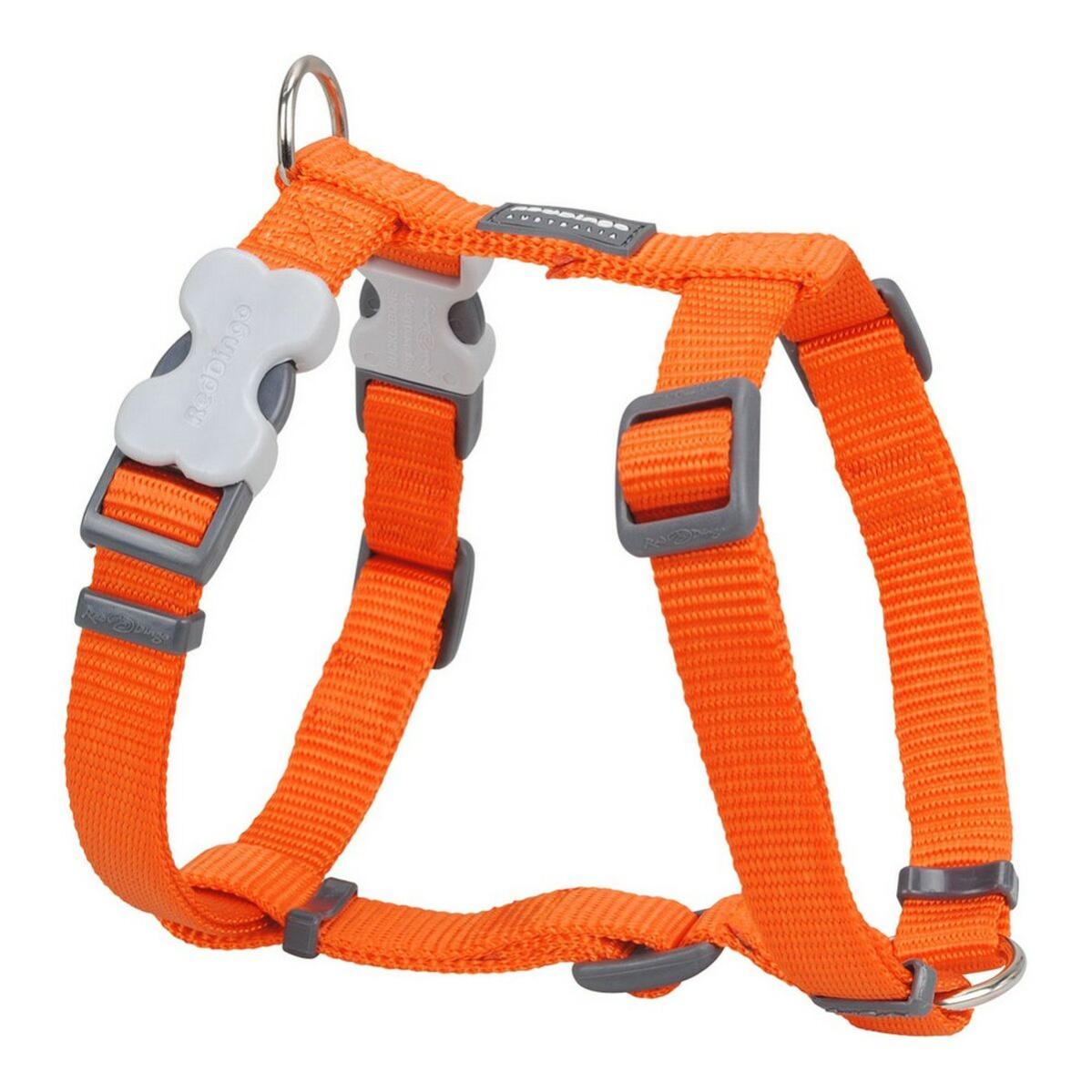 Harnais pour Chien Red Dingo Rembourré Rouge S (Poitrail 37 à 52 cm)