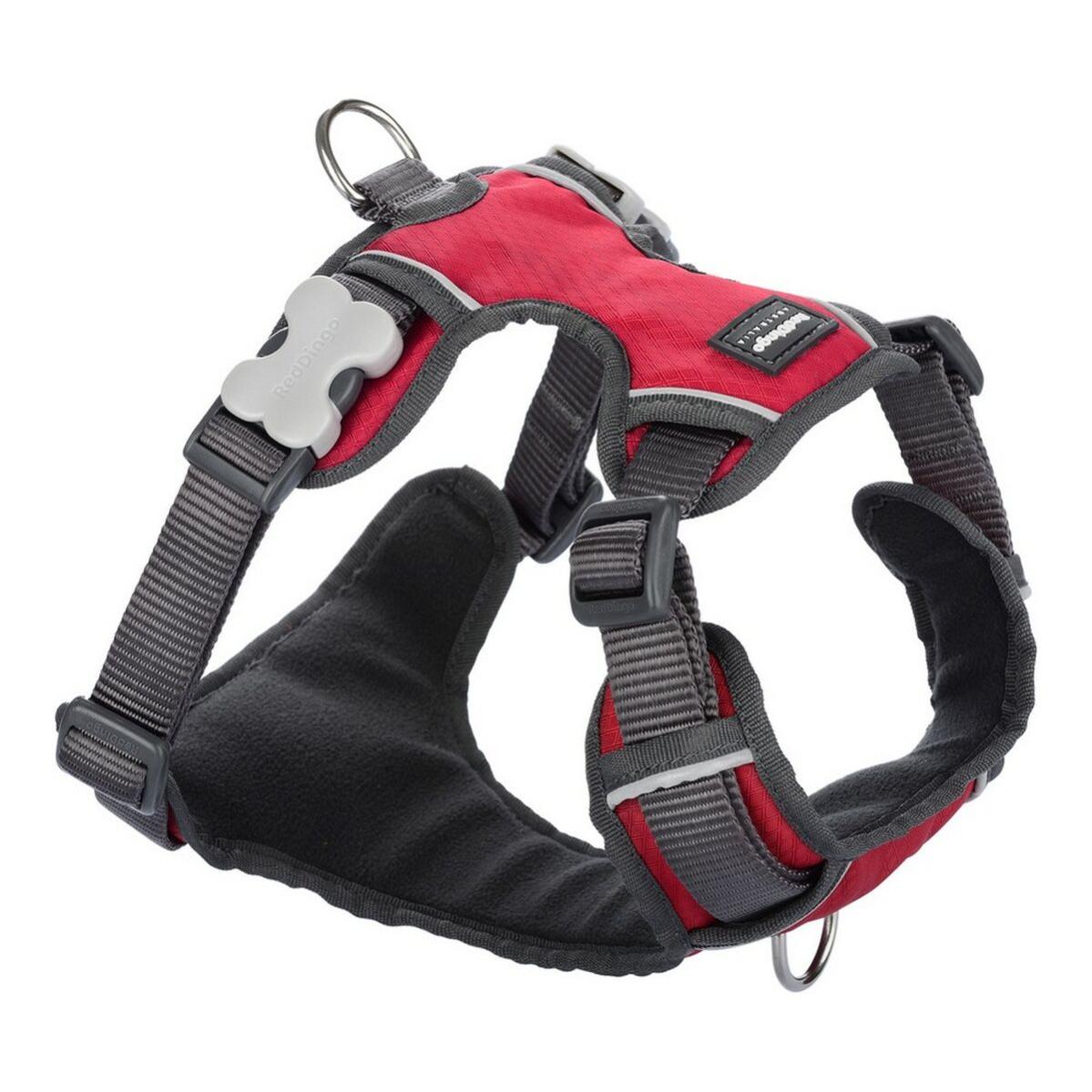 Harnais en nylon Premium pour chien - Jaune