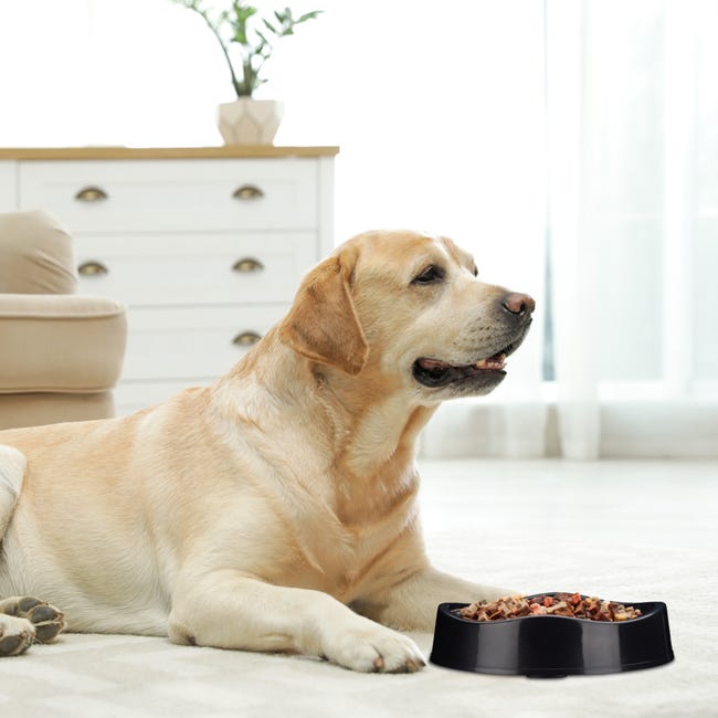 Relaxdays Gamelle anti-étouffement pour chiens, plastique, antidérapant,  grand, écuelle pour repas lents, 900 ml, noir