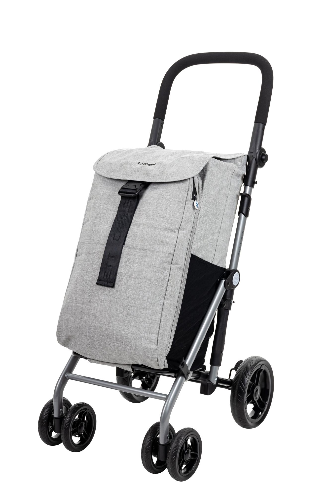 Berry Carrello pieghevole per la spesa, 30 kg, in plastica, con 2 ruote e coperchio, carrello portatile con manico telescopico, carrello multiuso per la spesa, per insegnanti, verde menta e grigio, 40