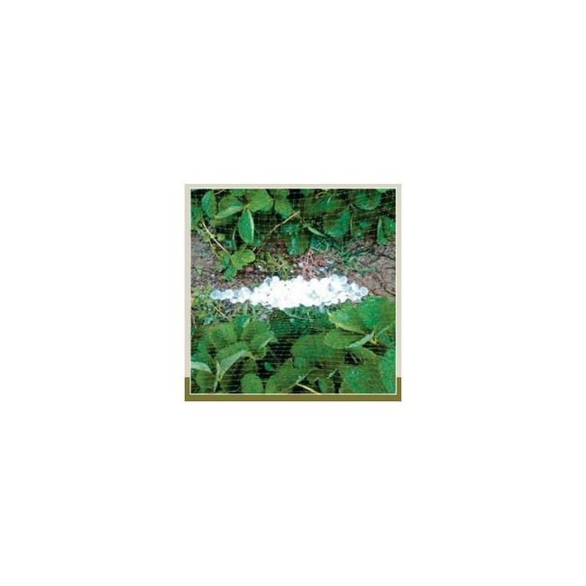 Tessuto Antigrandine Verde 36 Gr/mq Dimensioni 2x10 mt