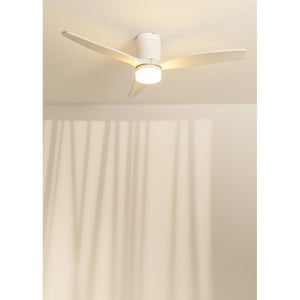 Ventilateur De Plafond - 1082449