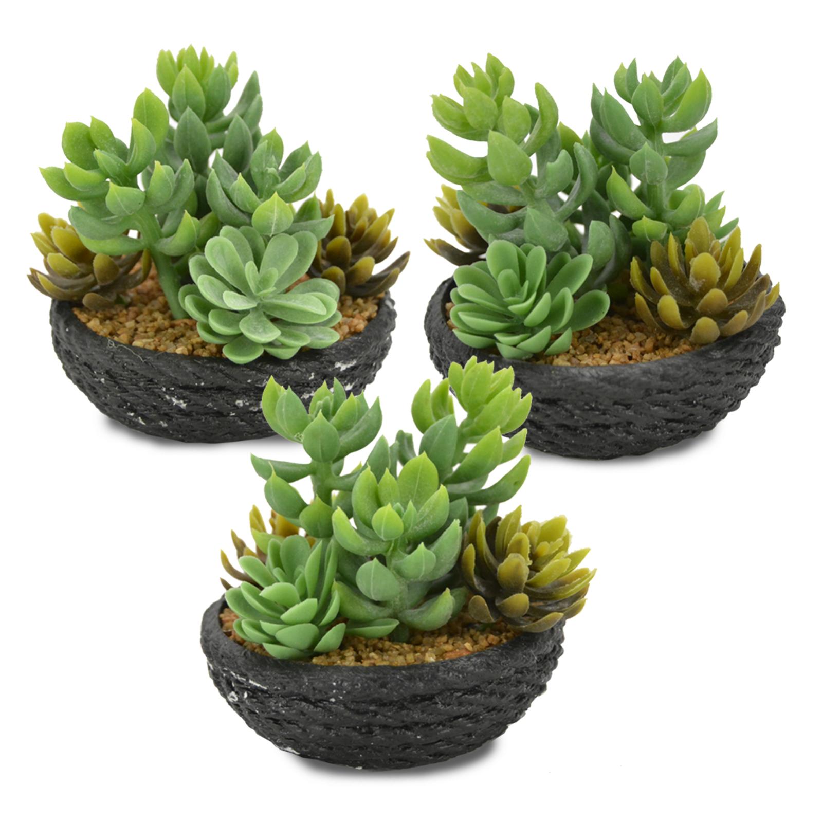 4 Plantes Artificielles Succulentes En Pot Céramique - Décoration Intérieur Verte Sans Entretien - 10