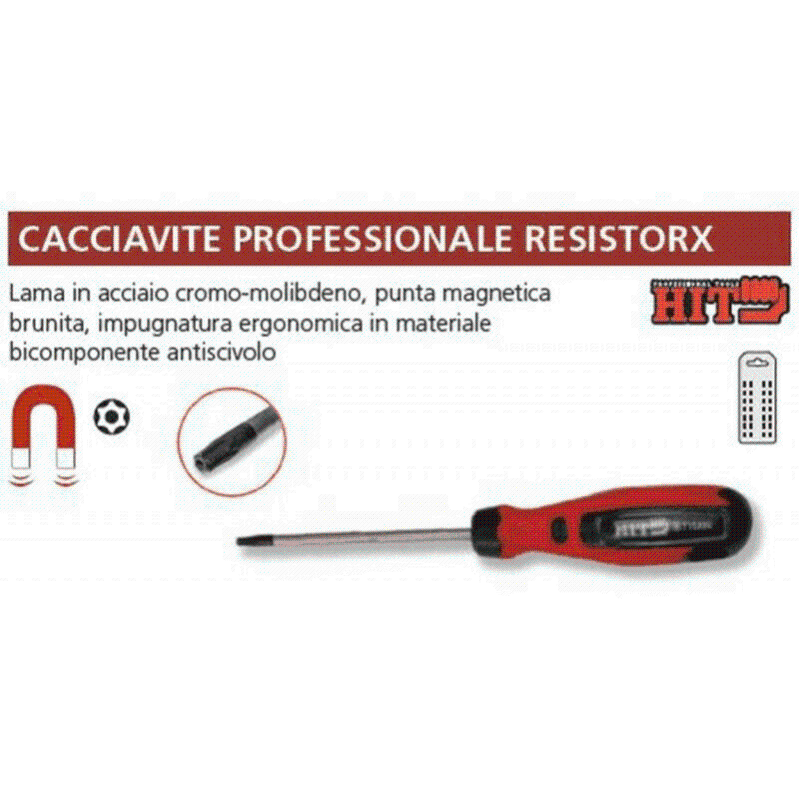 Resistorx HIT - CACCIAVITE PROFESSIONALE RESISTORX T27X100 | Leroy Merlin