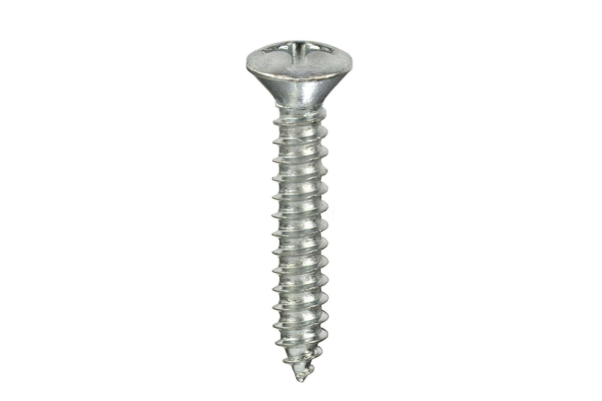 Viti Autofilettanti Acciaio Inox 304 &ndash; Testa A Tronchetta, Phillips, Misure M2.2-M6.3 (QuarkMRO)