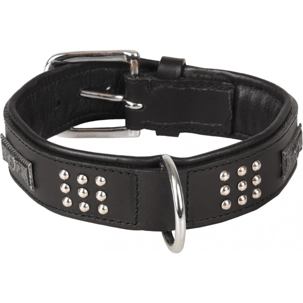 Collier pour Chien Red Dingo Noir (4 x 37-55 cm) main image 1