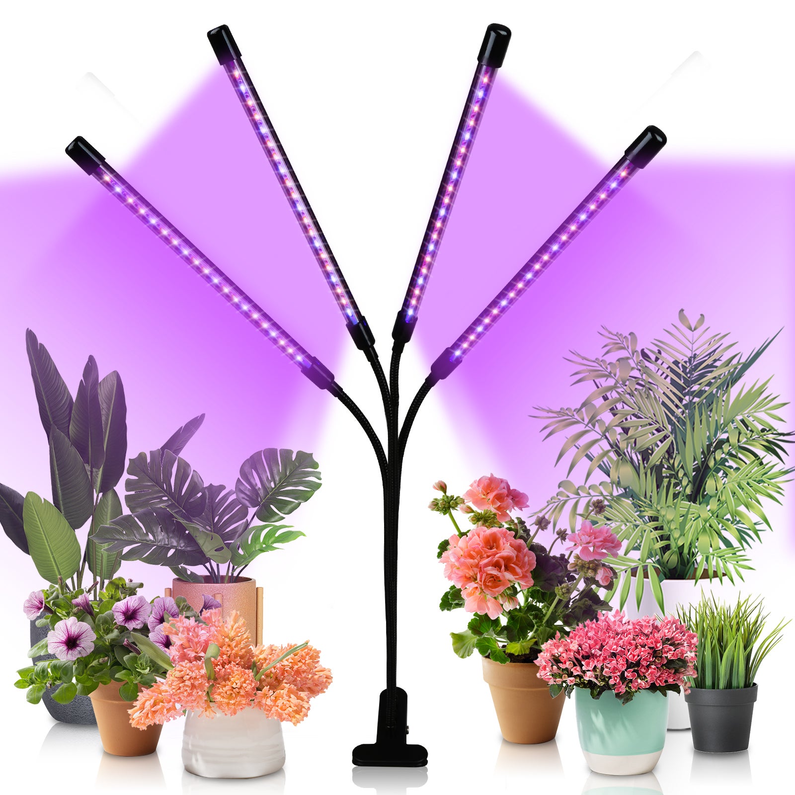 Lampada per piante a 4 punti luce, a LED, rosso e blu, a collo d