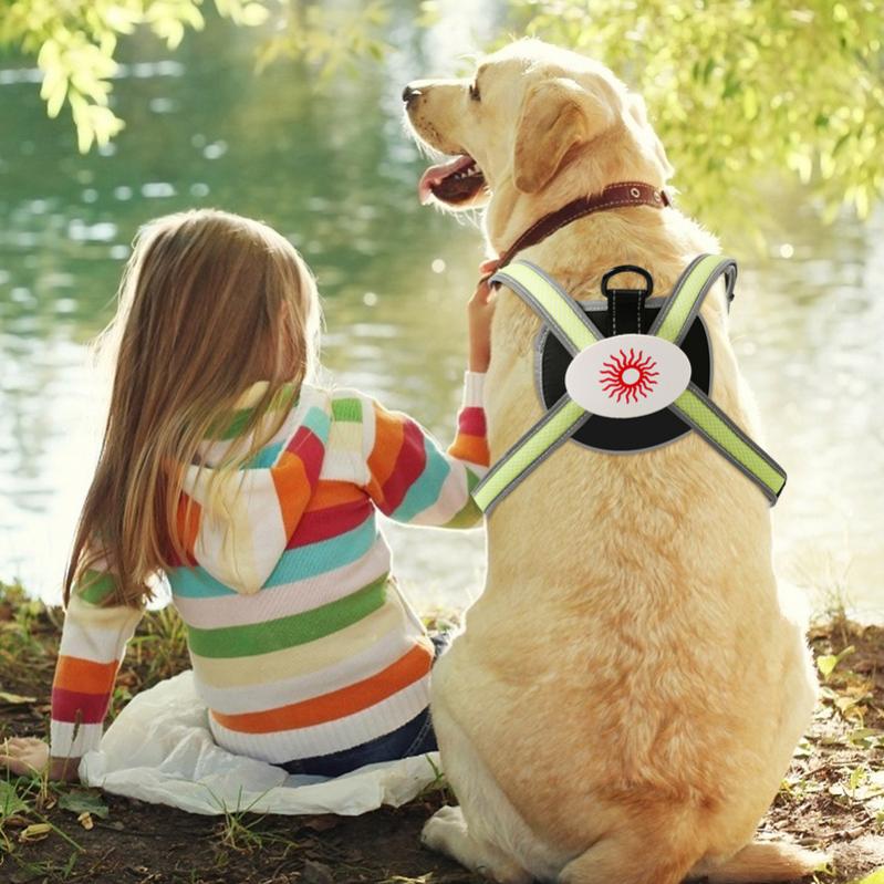 Arnés de arnés de perro led para gato reflectante recargable m