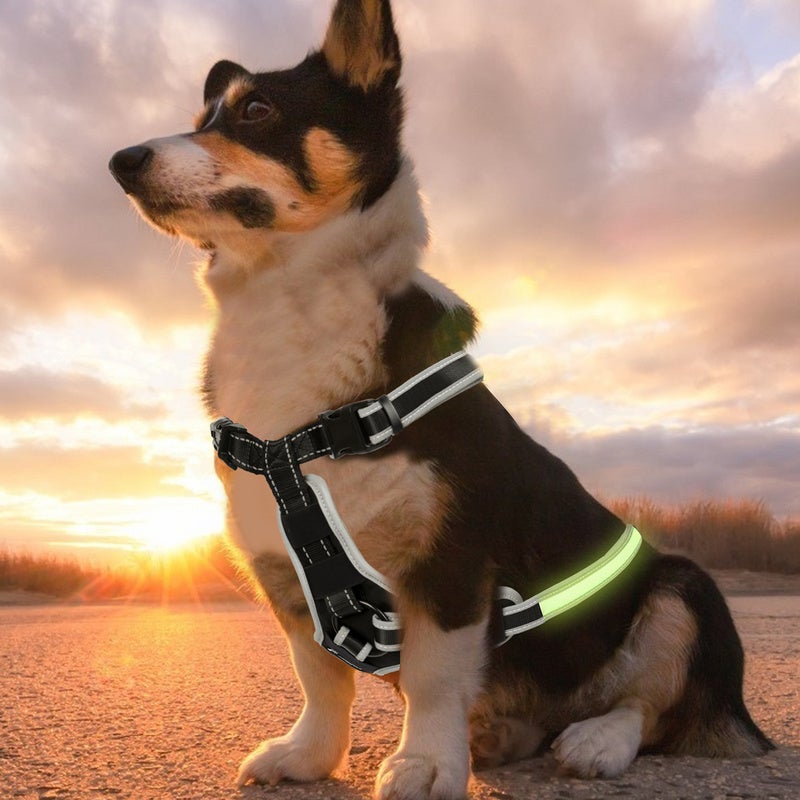Harnais pour chien à LED Harnais pour chien à LED Modes d'éclairage  lumineux Rechargeable S