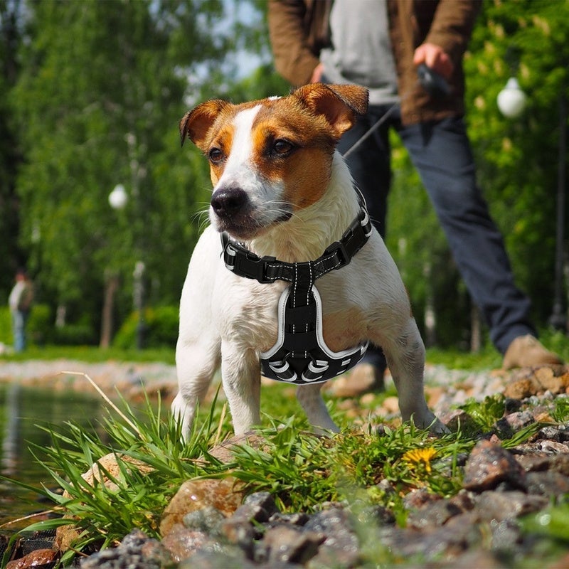 Arnés de arnés de perro led ajustable para perros de cachorro transpirables