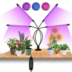 Lampes de culture pour plantes d'intérieur, 3 modes LED 360° avec lampe  TimerGrow idéale pour plantes d'intérieur, semis, plantes succulentes