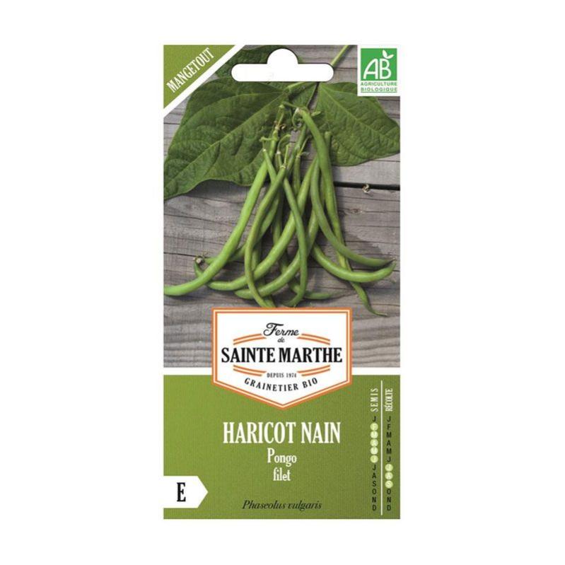 Haricots Nain Bio Pongo Filet Graines À Semer La Ferme De Sainte