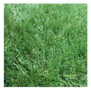 Tapis d'herbe verte synthétique 7 mm fausse pelouse en rôles à feuilles  persistantes Rotolo Altezza