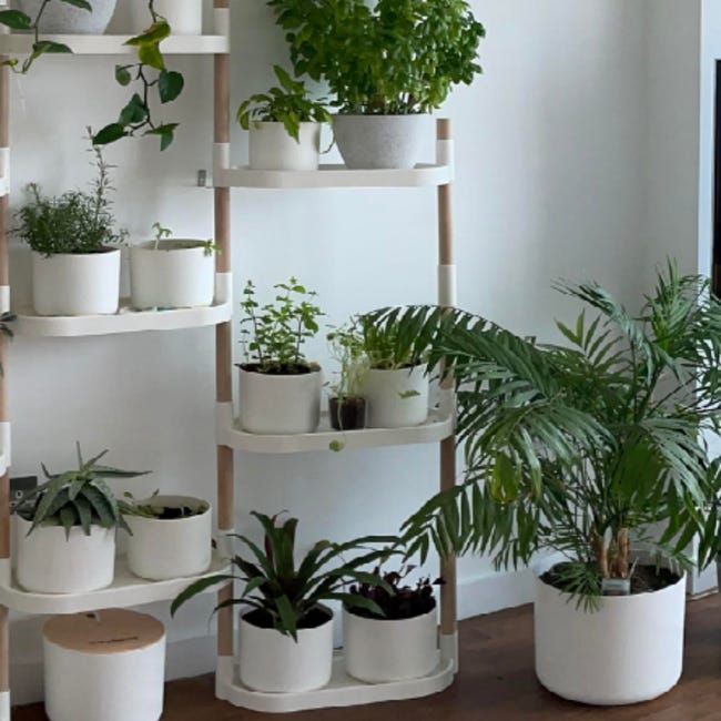 CitySens - Estantería para plantas con riego automático para 12 plantas;  color blanco; 6 bandejas