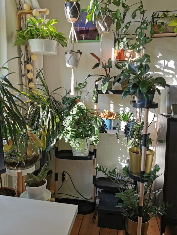 CitySens - Estantería para plantas con riego automático para 12 plantas;  color blanco; 8 bandejas