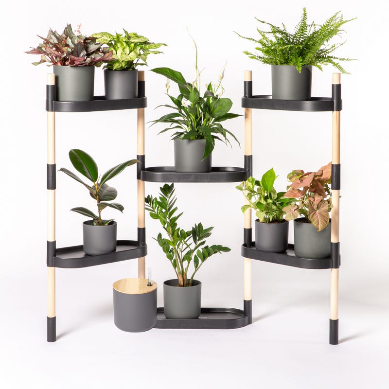 CitySens - Estantería para plantas con riego automático para 12 plantas;  color negro; 6 bandejas