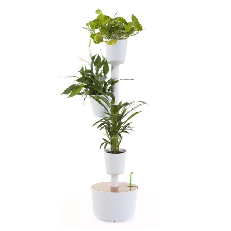 comprar mectizan en línea