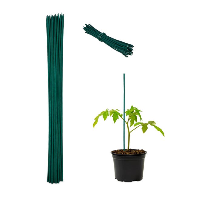 Mininfa 50 Bastoncini Di Bambù Verde Da 40 Cm, Per Piante E Mininfa 50 Bastoncini Di Bambù Verde Da 40 Cm, Per Piante E