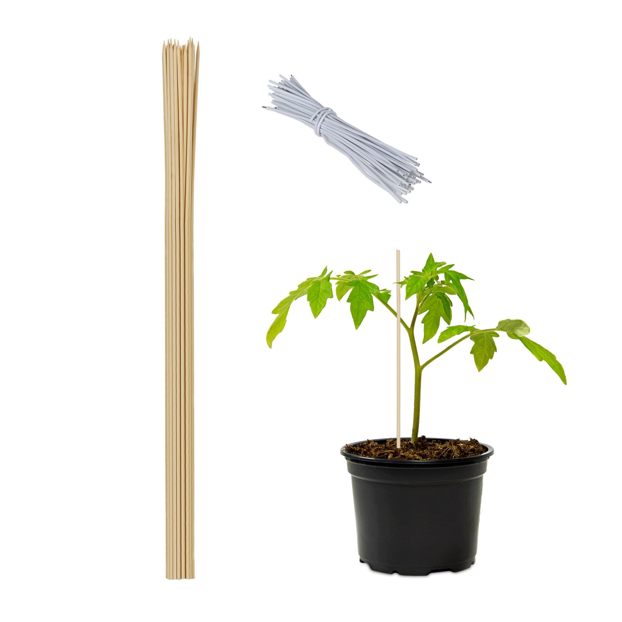 50 Bastoncini Di Supporto Per Piante Da Giardino - 40 Cm Di Altezza - Tutori Verdi Per Pomodori, Fiori E Piante Rampicanti