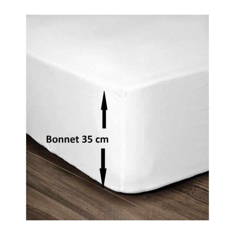 Drap Housse 160x200cm - Terra Cotta - 100% percale de coton - Morphea