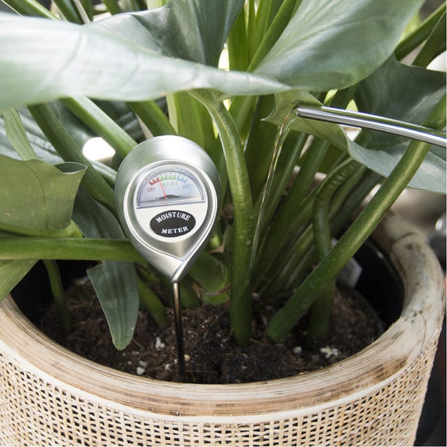 Hygromètre pour plantes d'intérieur Garden Esschert Design