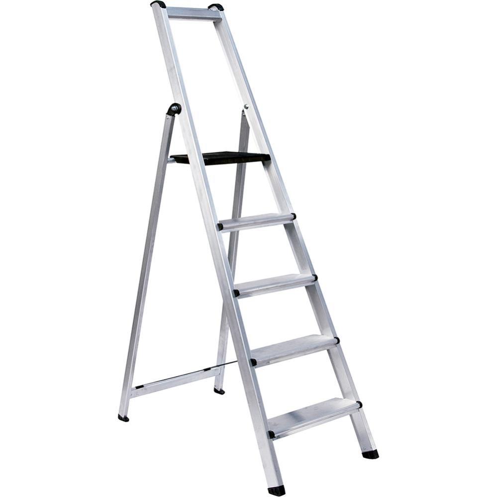 Escalera profesional en tijera - 5 peldaños - 1,90 m