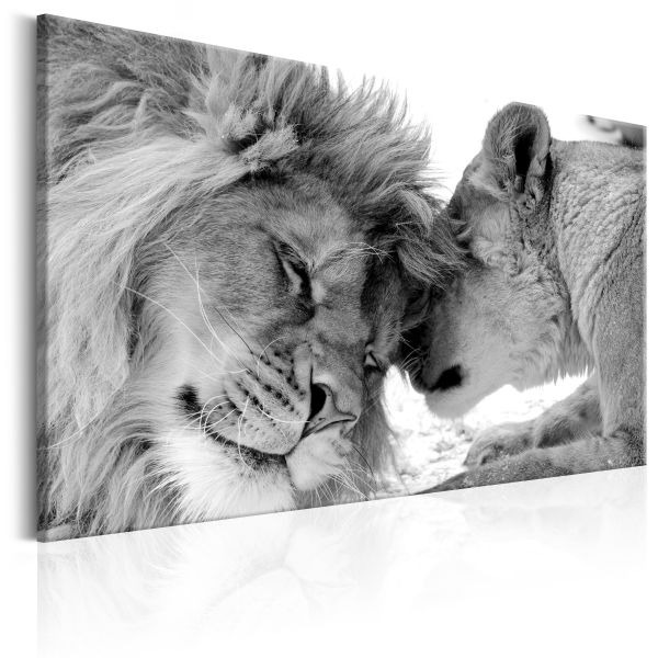 Tableau Lion’s Love : Taille - 60 x 40 cm | Leroy Merlin