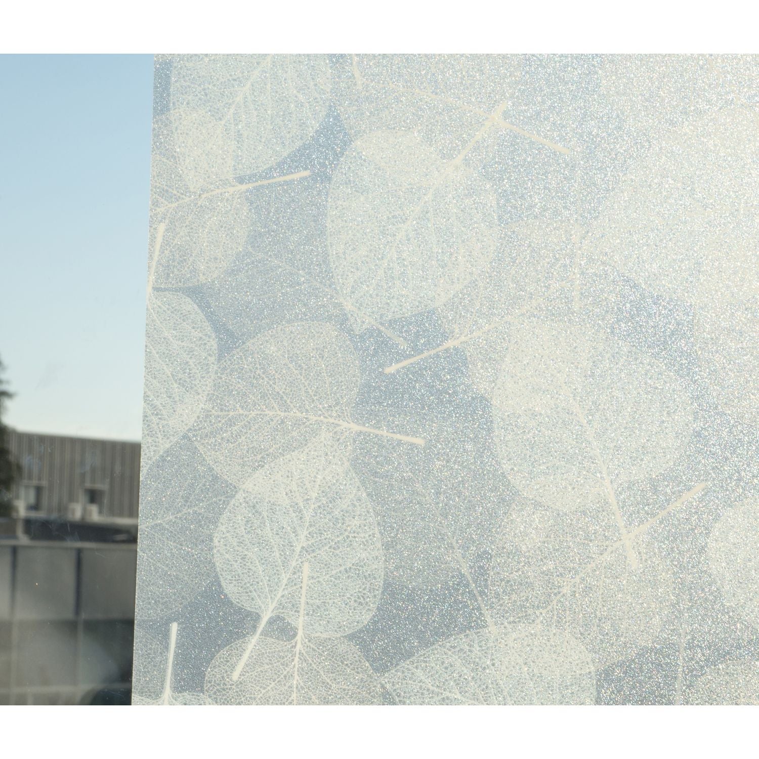Film vitrostatique pour vitre Décoratif Feuillage Nature opaque 150 x 90cm  Blanc