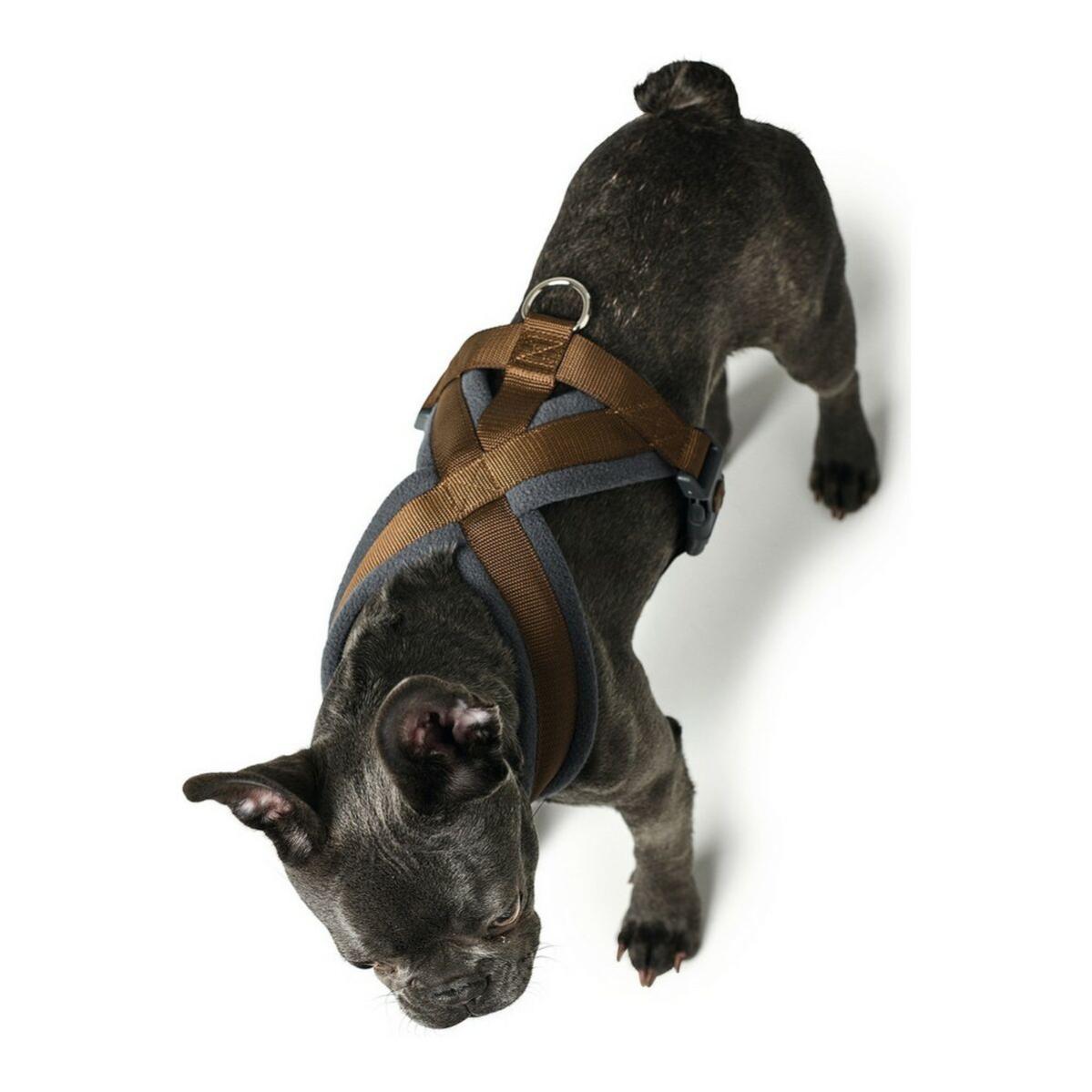 Harnais pour Chien Hunter London Comfort 73-100 cm Taille L Citron