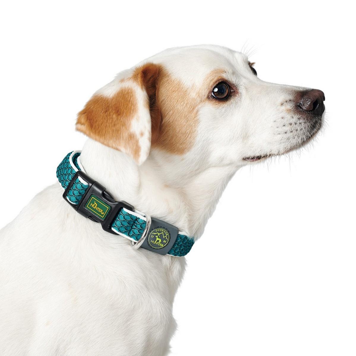 Dog collar Hunter Vario Basic Threads Brown Size S (30-43 cm) main image 1