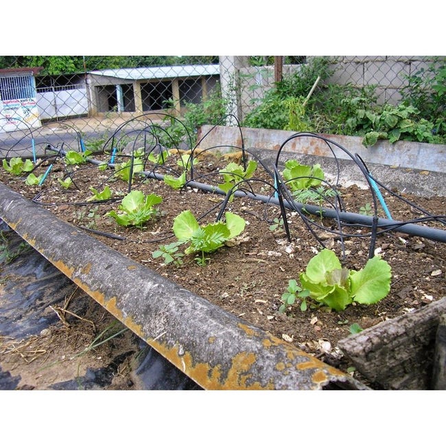 Micro tubo de riego, línea de riego por goteo, manguera de riego de 30  metros, tubo de suministro negro I.D 4mm/O.D 6mm para sistema de riego de  jardín : : Jardín