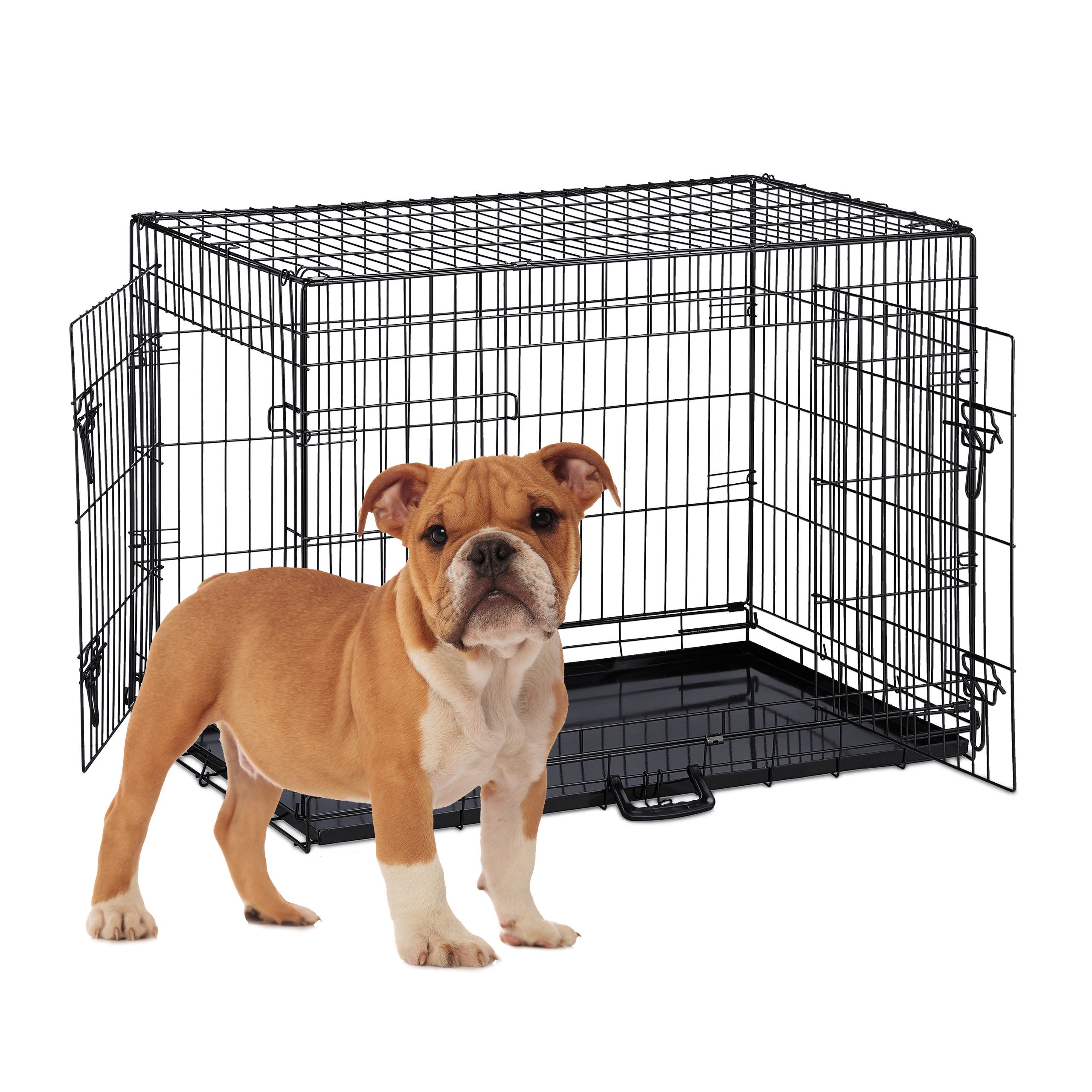 Cage de transport pour chiens double sécurisée, avec dos incliné