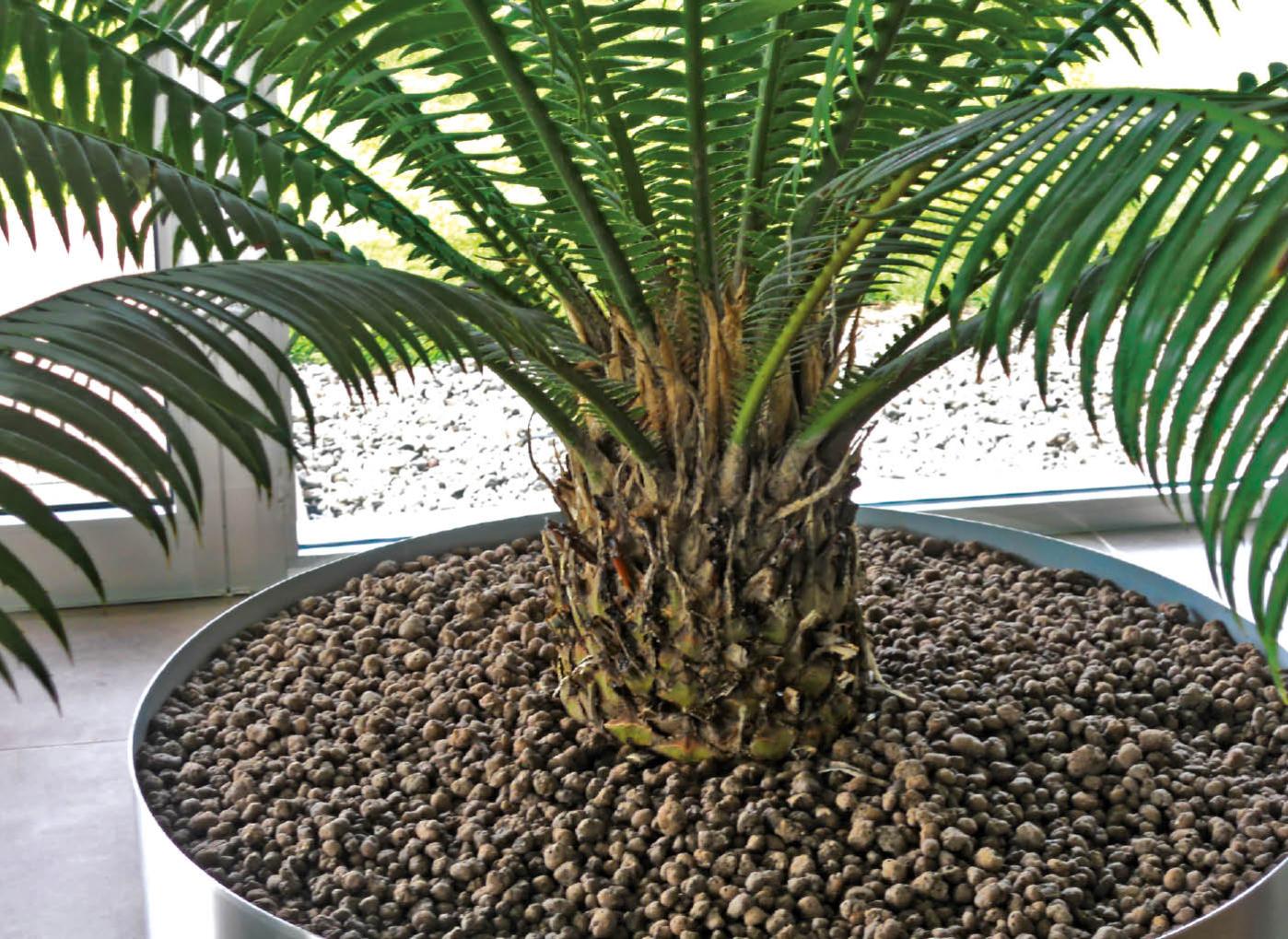 Argilla Espansa Leca Granuli 3 - 8 Sacco da 50 L Laterlite - Cod. LL100403