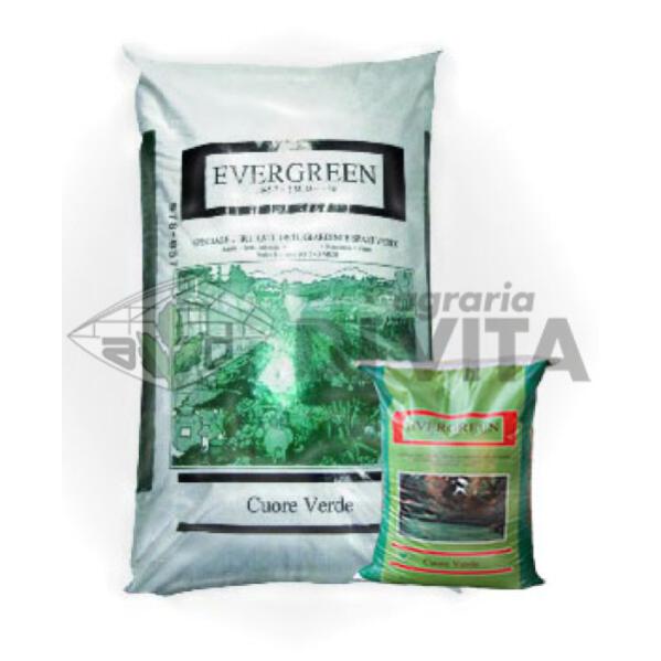 EVERGREEN SPECIFICO PRATI SPAZI VERDI E GIARDINI 25KG Leroy Merlin