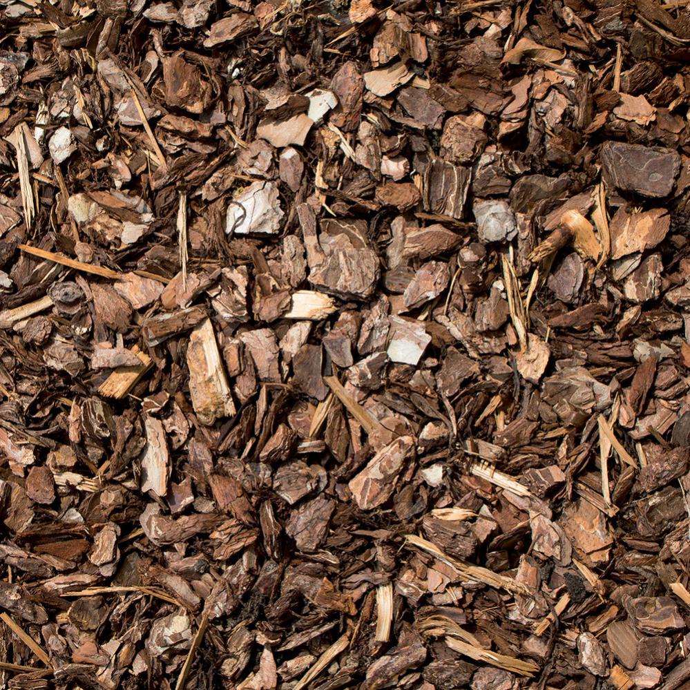 Tubi Di Corteccia Di Catappa Tipo A - Foto 14