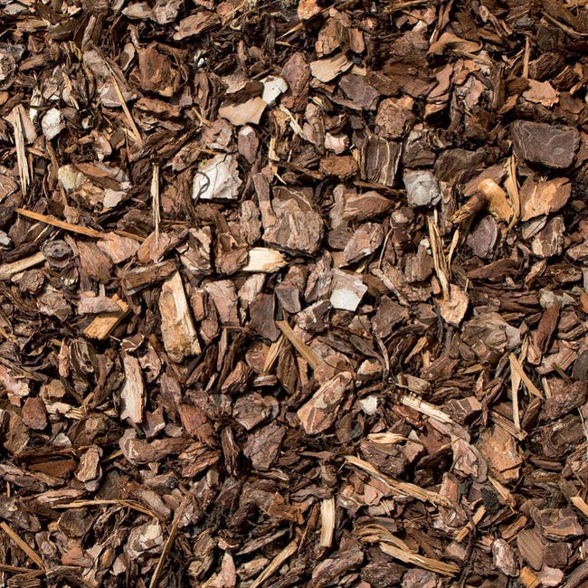 Tubi Di Corteccia Di Catappa Tipo A - Foto 14