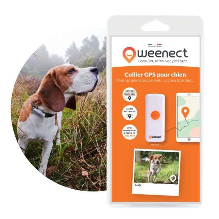 Collier GPS pour chien Weenect XS