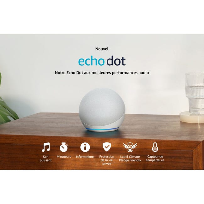Assistant vocal  Echo Dot 5 Anthracite