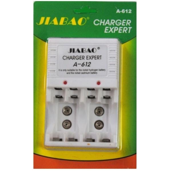 Caricabatterie USB Per Batterie 3.6V/3.7V RC - 2 Pezzi Con Connettore SM-2P E Indicatore LED Per Auto, Barche, Giocattoli