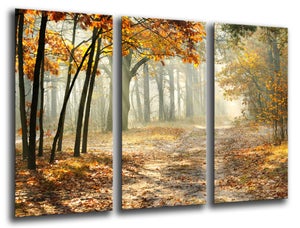 6 Affiches Décoratives Avec Des Photographies Pour S'accrocher Au Mur -  Nature, Forêt, Ã - Décoration Murale Moderne - A3 Et A4. Sans Cadre