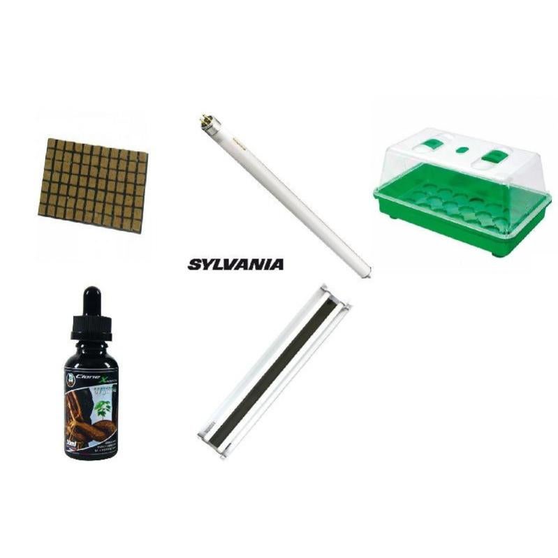 Kit de germination, semis et bouturage Leroy Merlin