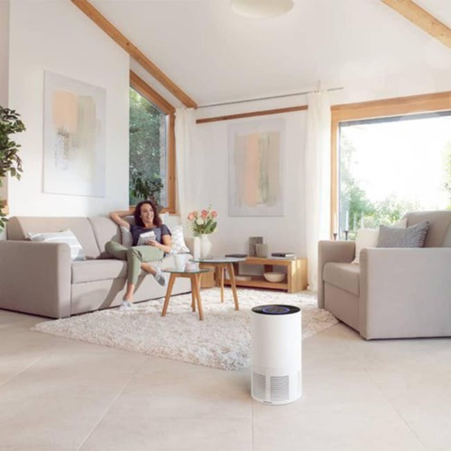 Purificatore Aria Portatile Ardes - Ionizzatore Con Filtro HEPA Per Casa E Auto - Foto 3