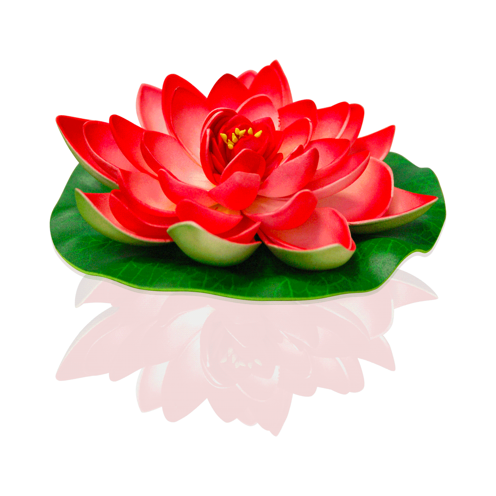 Lotus Natural Rouge | Leroy Merlin