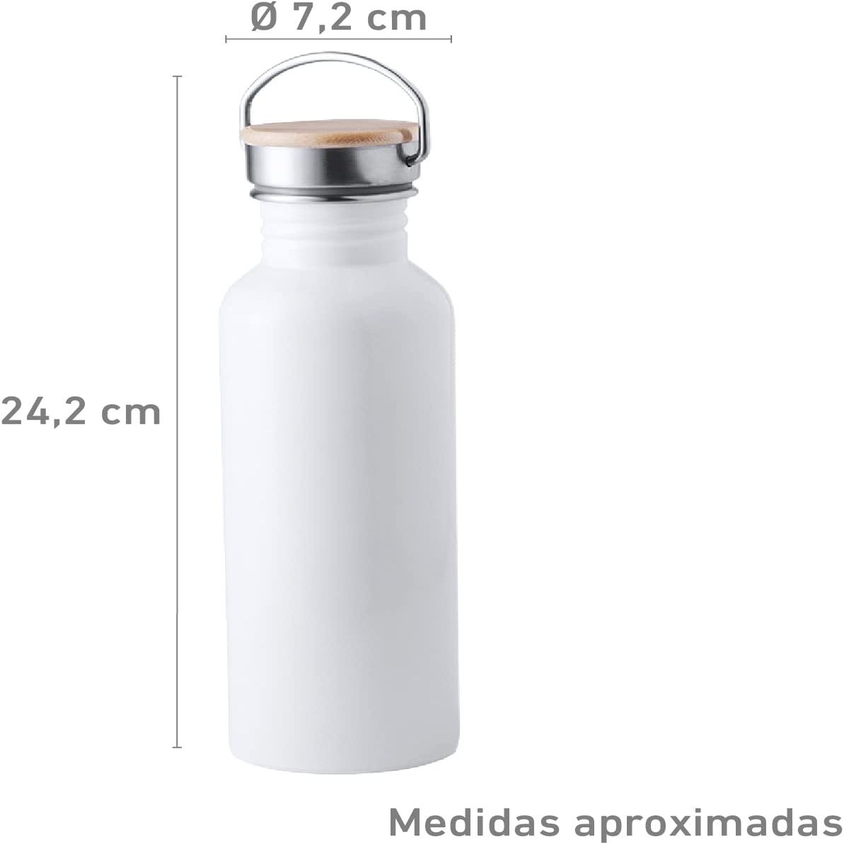 L-266 Botella de Vidrio 500ml Tapón SE (Bandeja x 42 unds.)